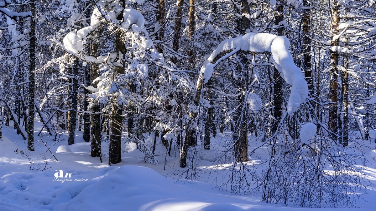 老克里湖林海雪原（31）