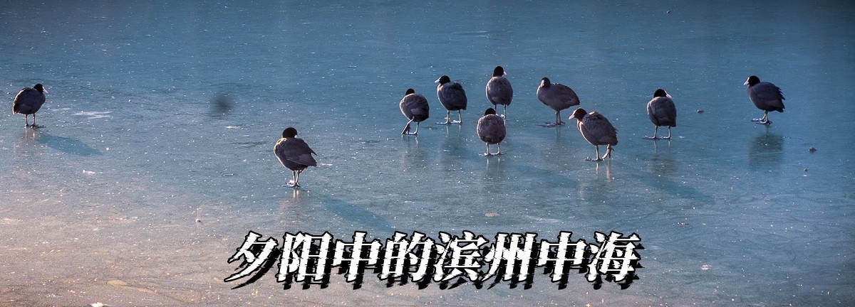 夕阳中的滨州中海