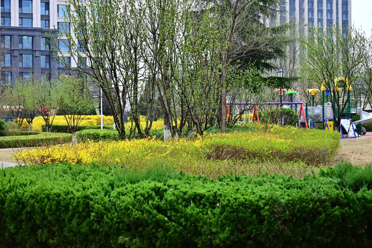 人间四月芳菲尽，小区桃花始盛开