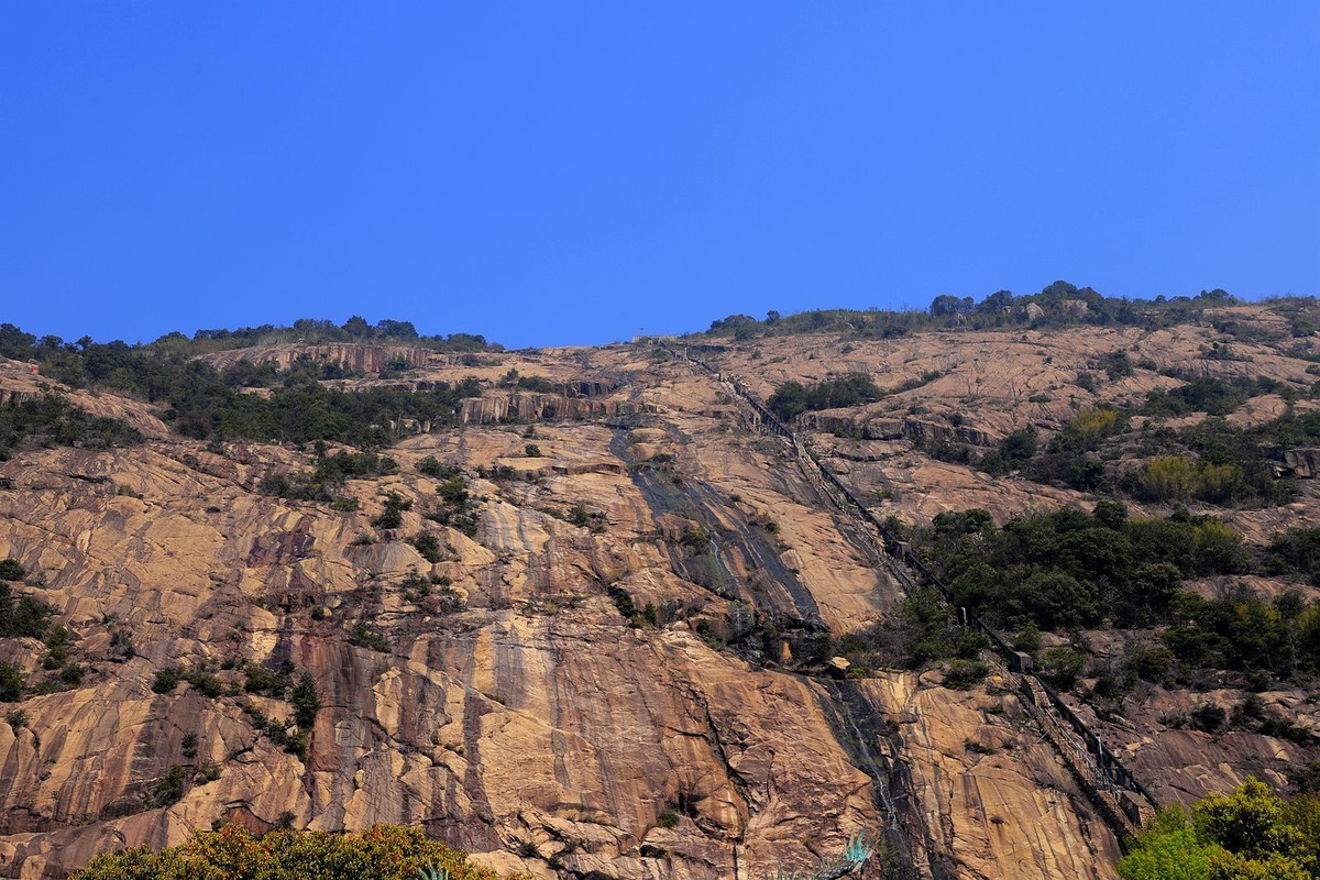 龙湾东篱下水仙宫