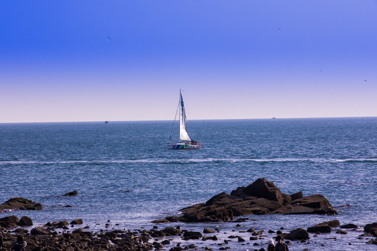 外出随拍（续390）.