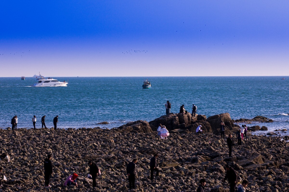 外出随拍（续390）.