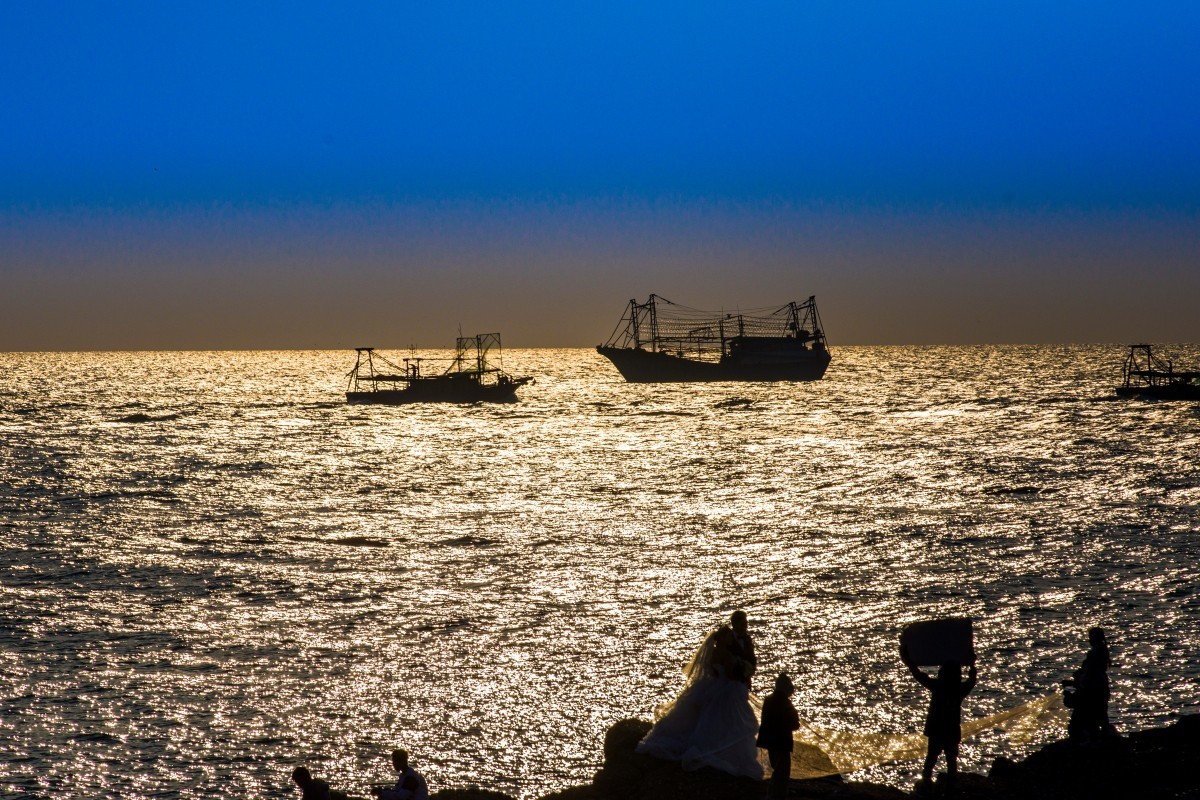 外出随拍（续390）.