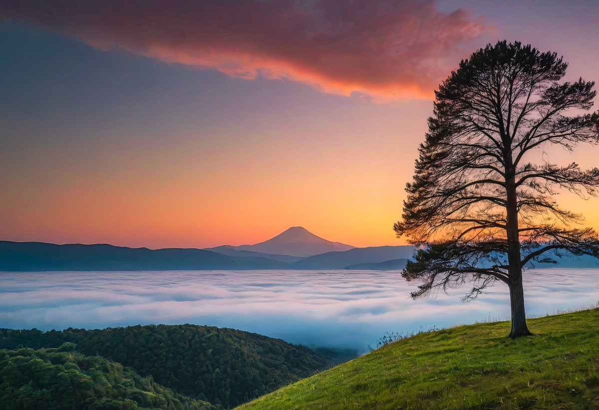 日出的宁静与和谐