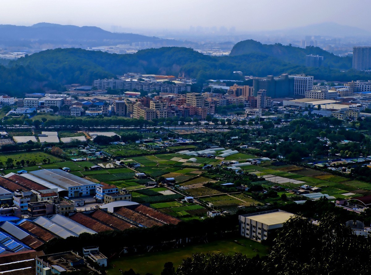 城市景色（三）