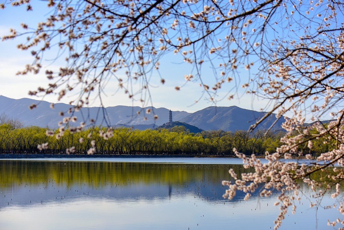 作品论坛 自然风景论坛  花开春光寻美景