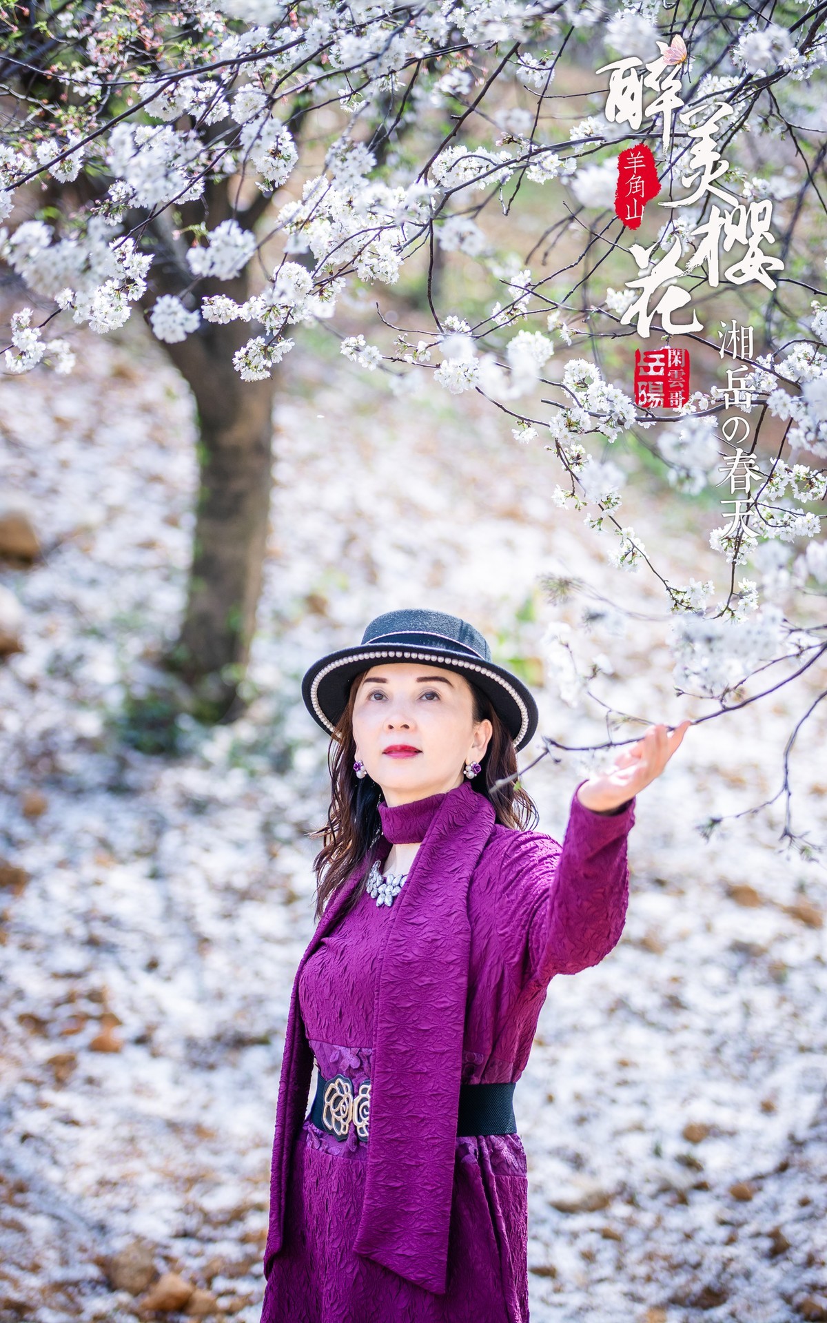 #花开春光寻美景# 羊角山樱花人像习作
