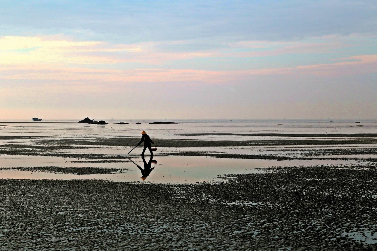 清晨滩涂寻宝贝（6幅）