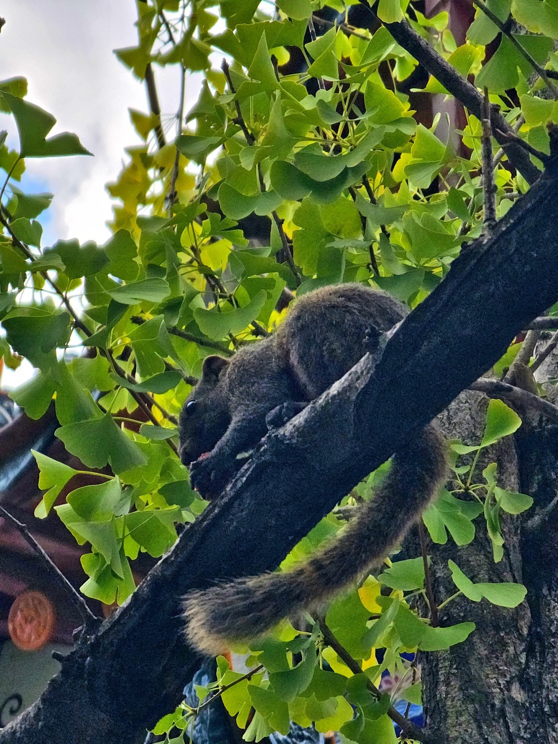 手机记录城市的足印