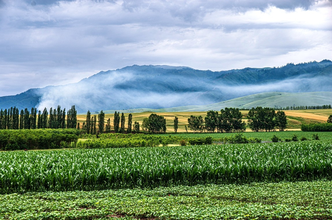 那拉提河谷草原【2】
