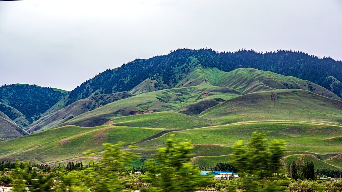 那拉提河谷草原【2】