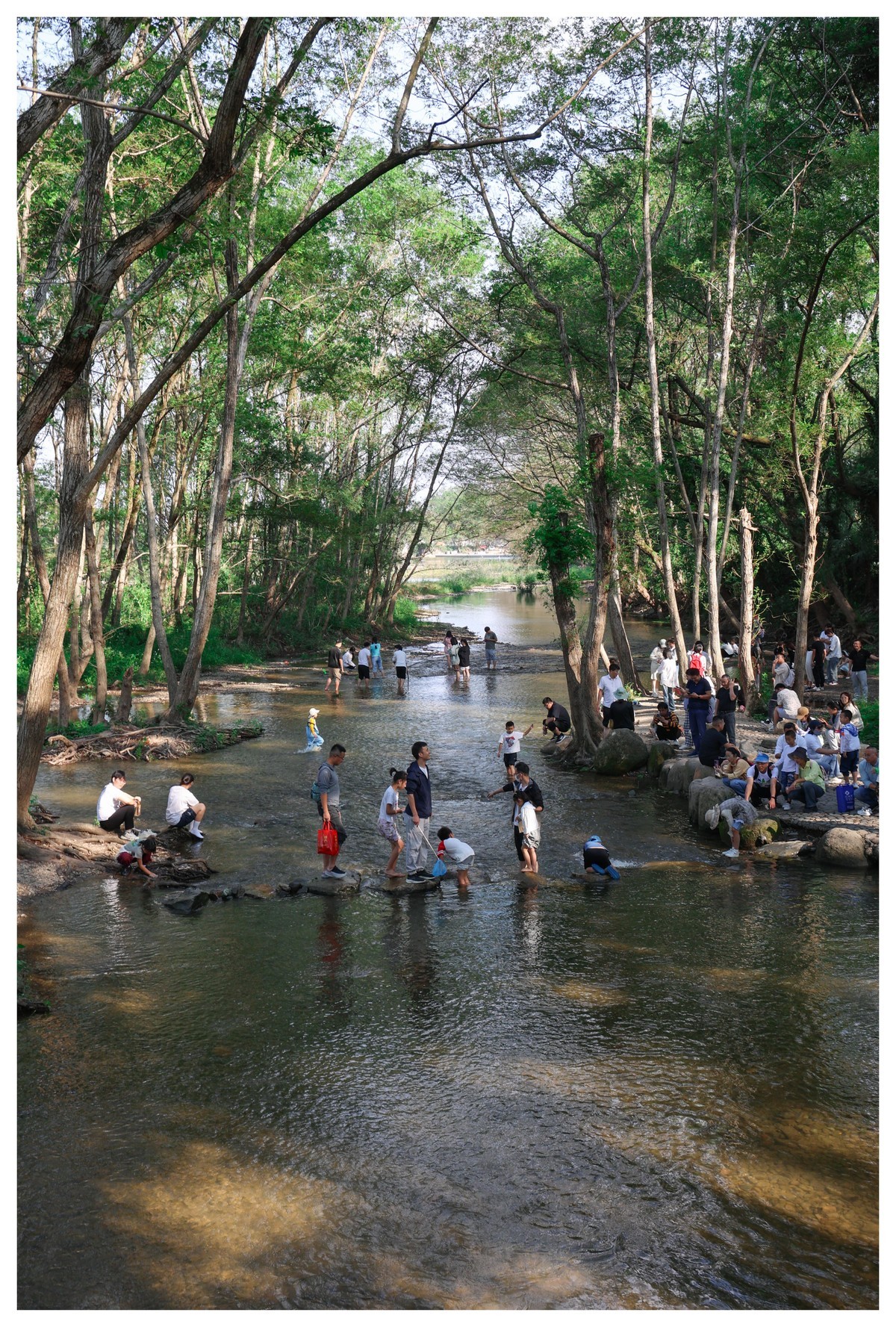 r6 24 105  国庆黄山西溪南村摄绿影仙踪