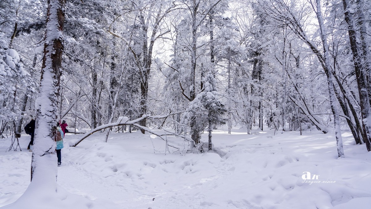 老克里湖林海雪原（31）