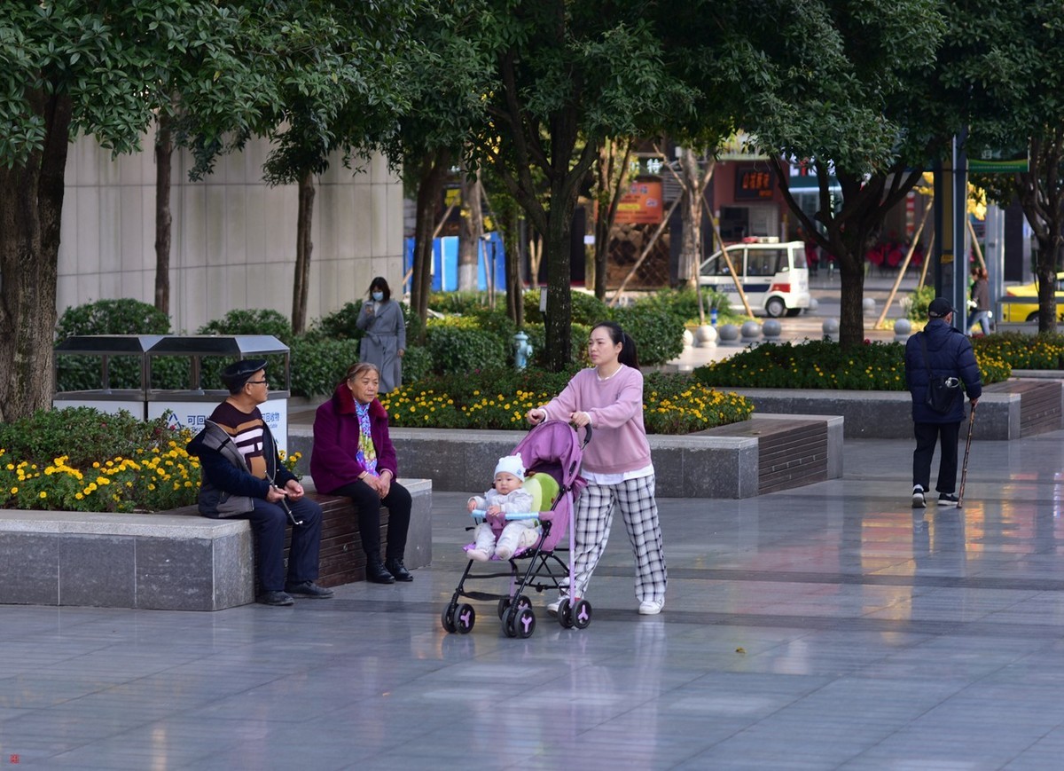 #拜年帖#冬曰暖阳(23)