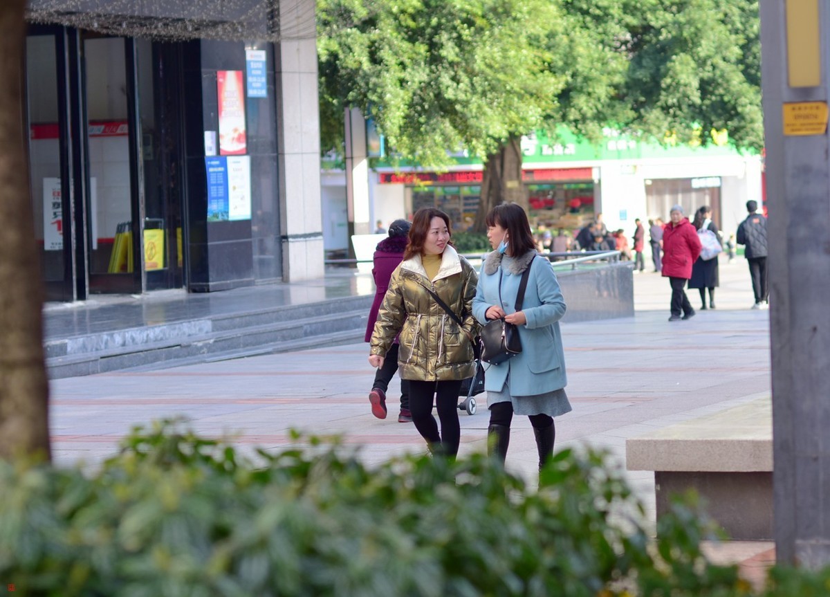 #拜年帖#冬曰暖阳(23)