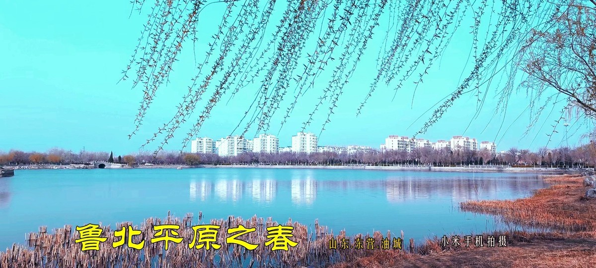 鲁北平原的春天