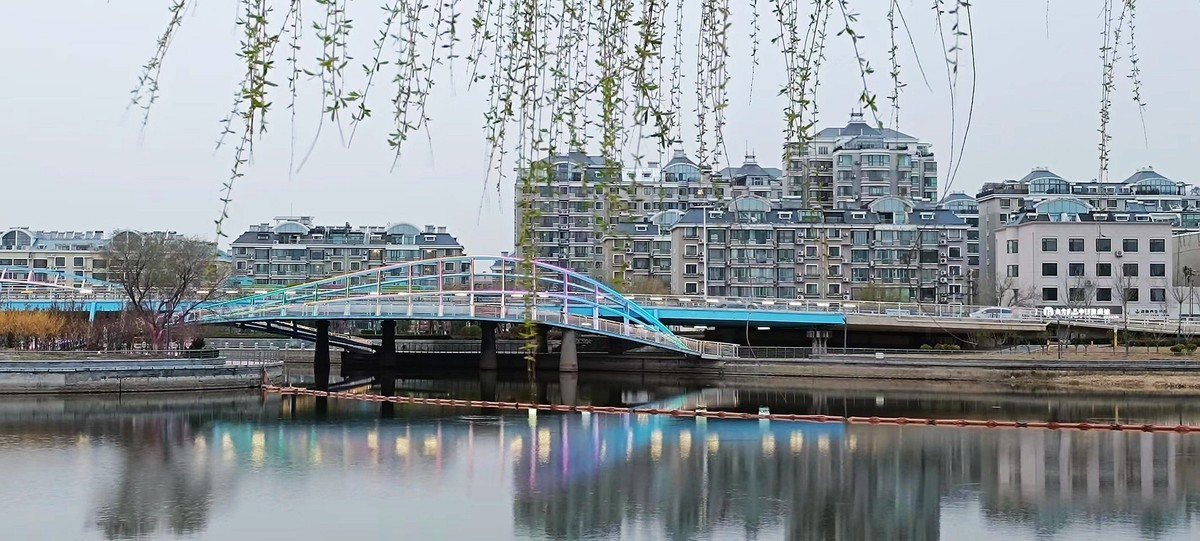 鲁北平原的春天