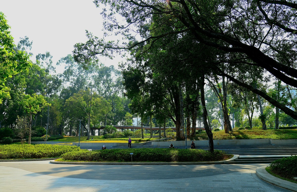 拜访无眠版主！