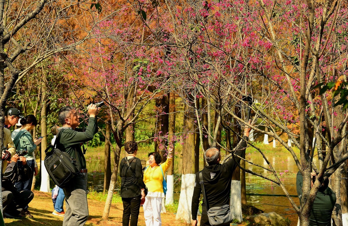 拜访无眠版主！