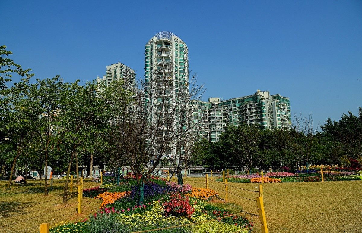 拜访无眠版主！