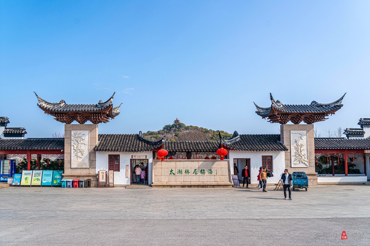 太湖林屋梅海