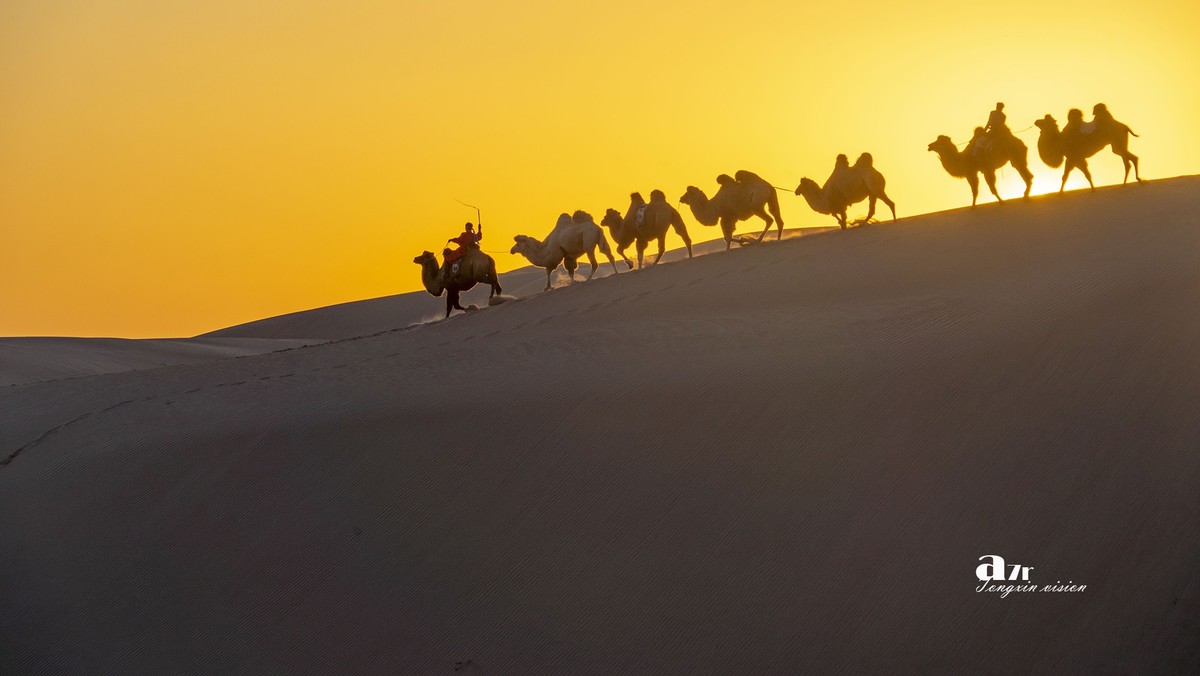 沙漠中的一支驼队(24)