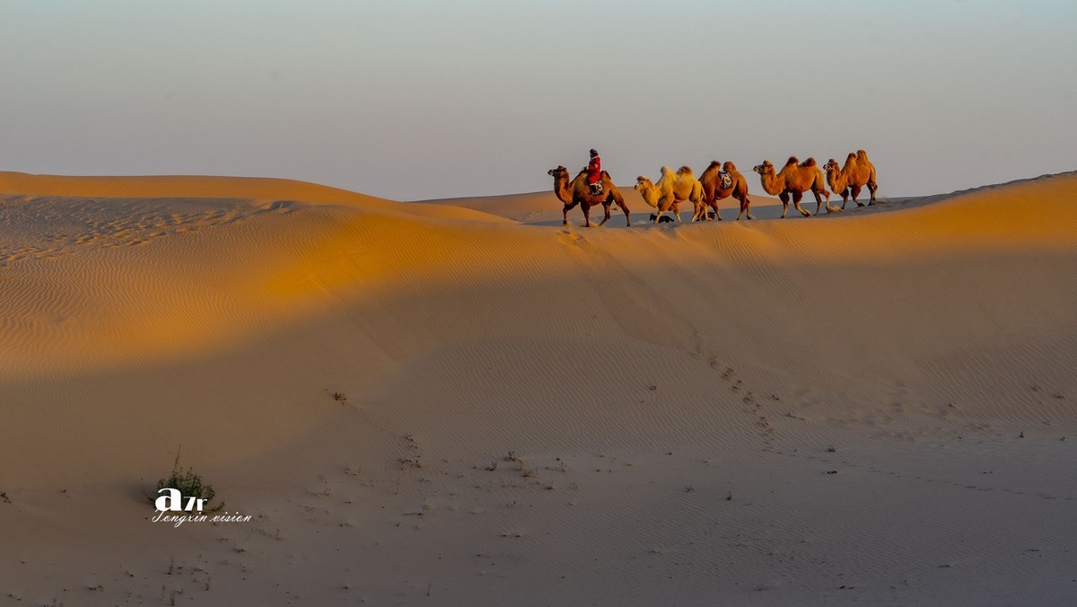 沙漠中的一支驼队(24)