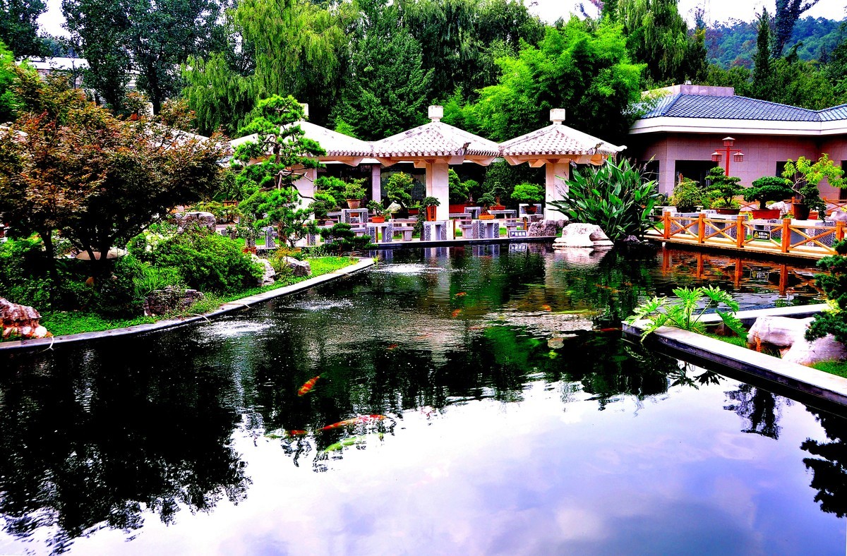 美丽的世博园风光