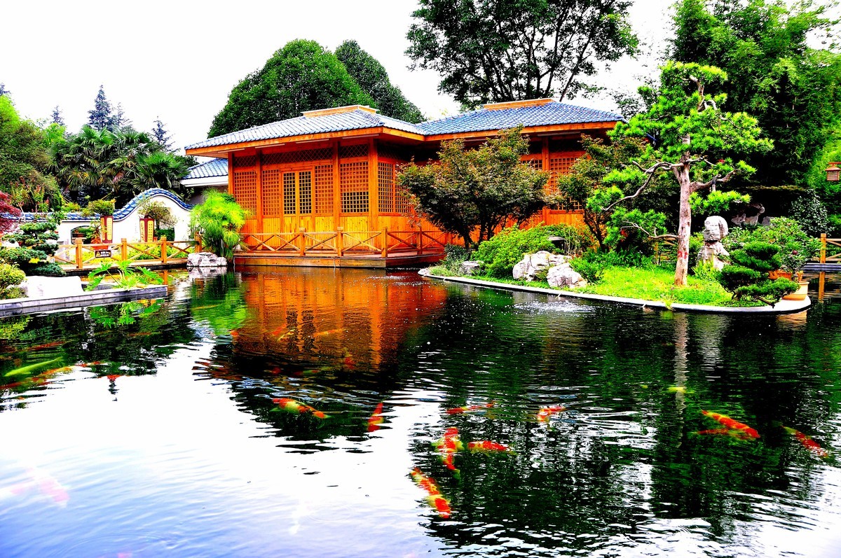 美丽的世博园风光