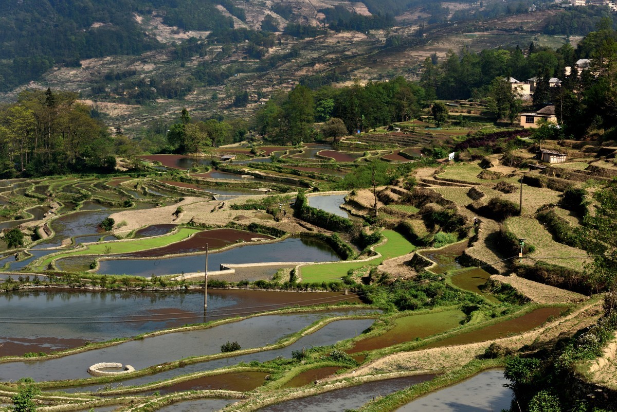 元阳梯田【2】