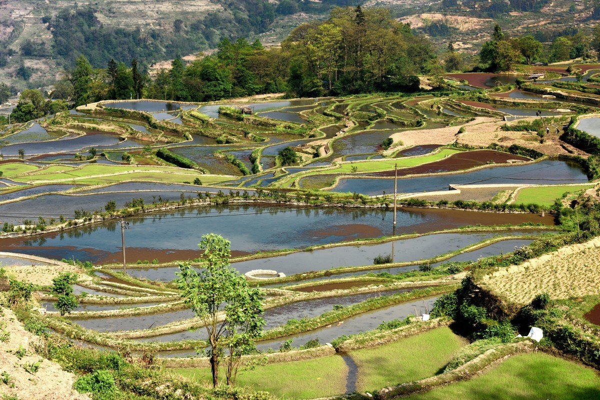 元阳梯田【2】