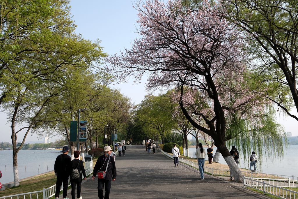 玄武湖公园