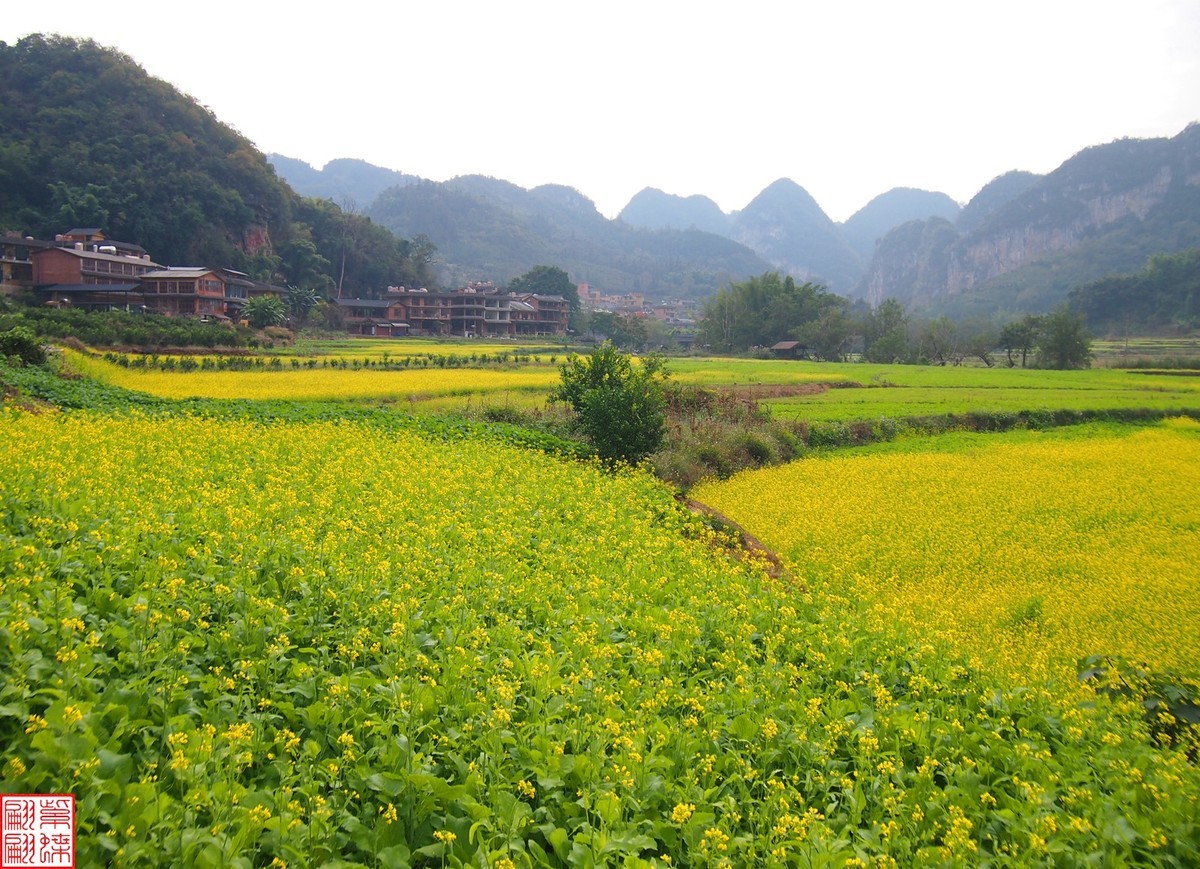 2023.12.22坝美随拍（10）