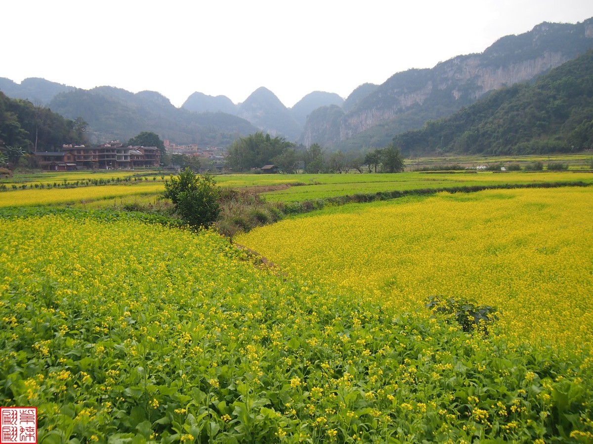 2023.12.22坝美随拍（10）