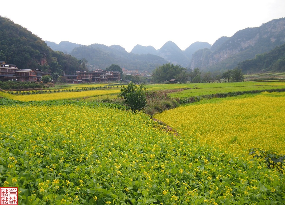 2023.12.22坝美随拍（10）