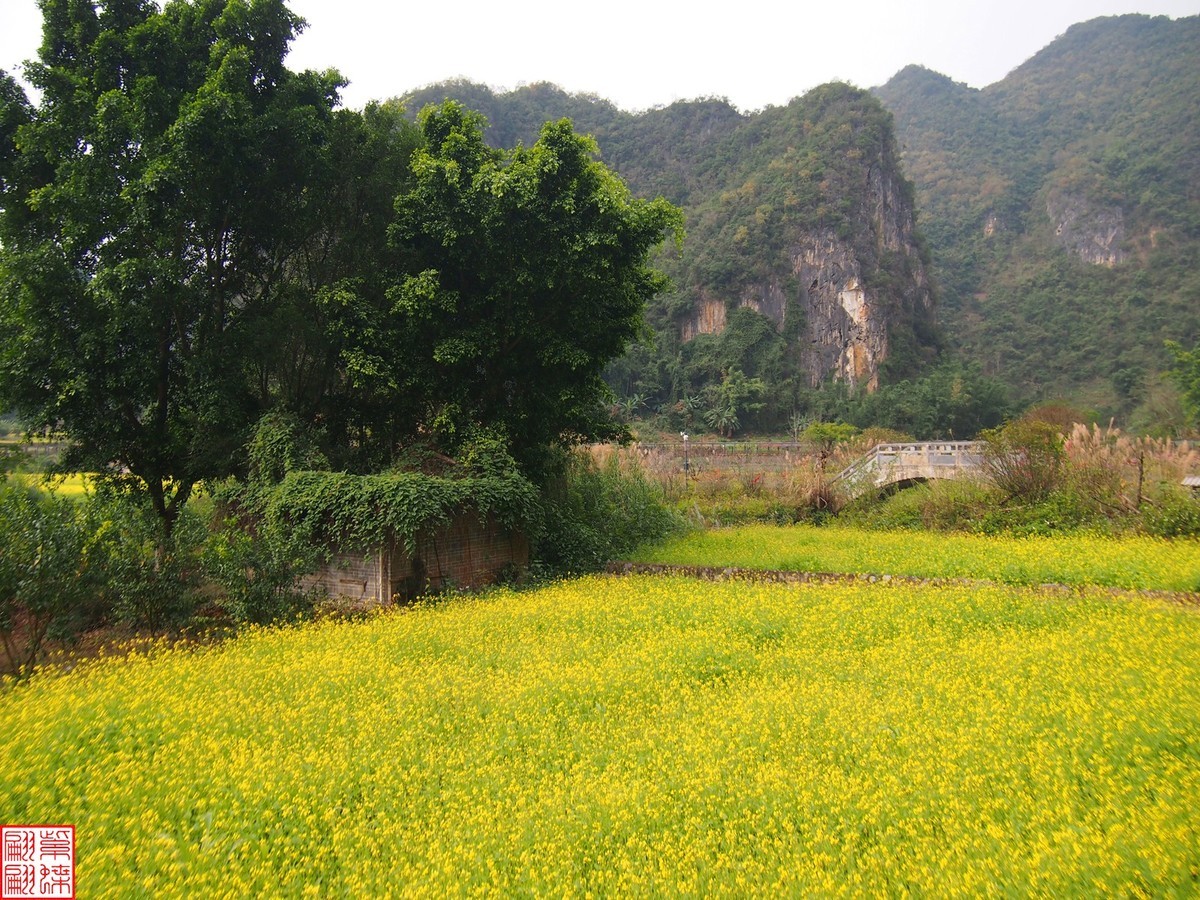 2023.12.22坝美随拍（10）