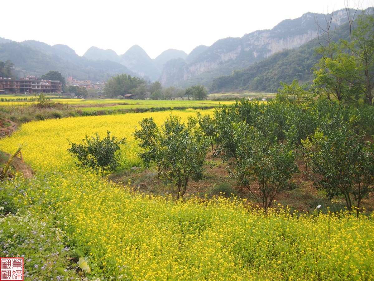 2023.12.22坝美随拍（10）