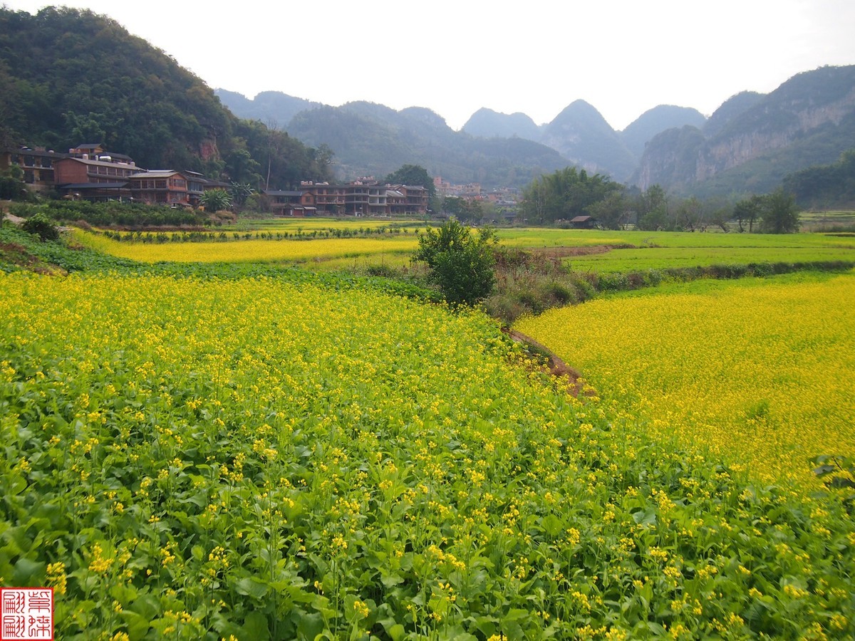 2023.12.22坝美随拍（10）