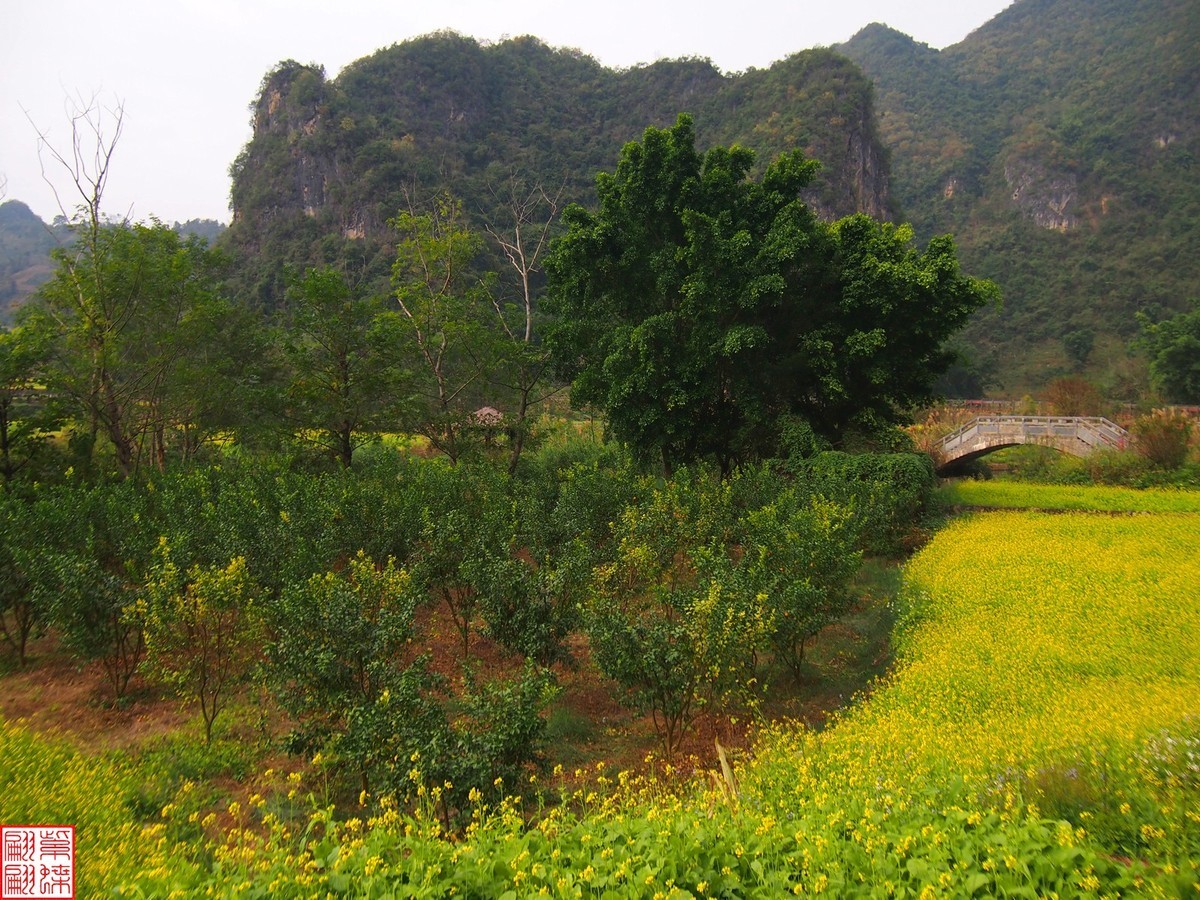 2023.12.22坝美随拍（10）