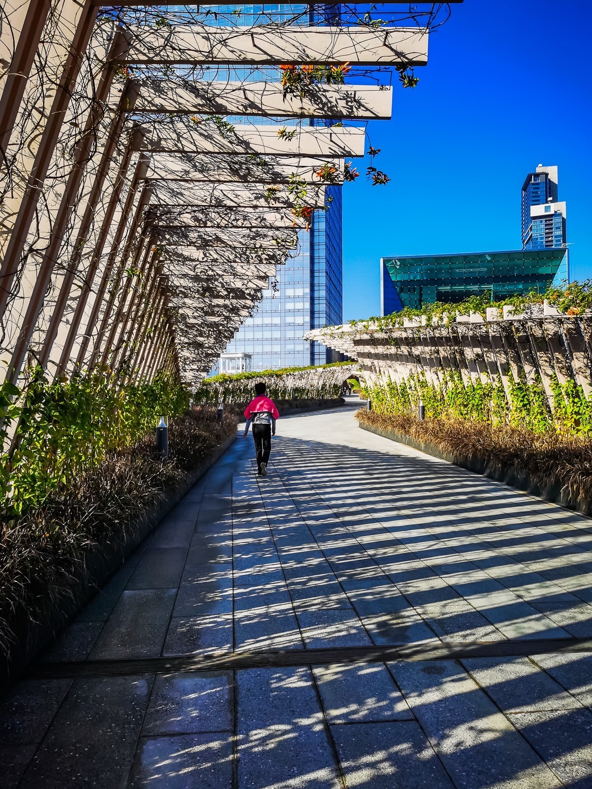 深圳笔架山公园掠影