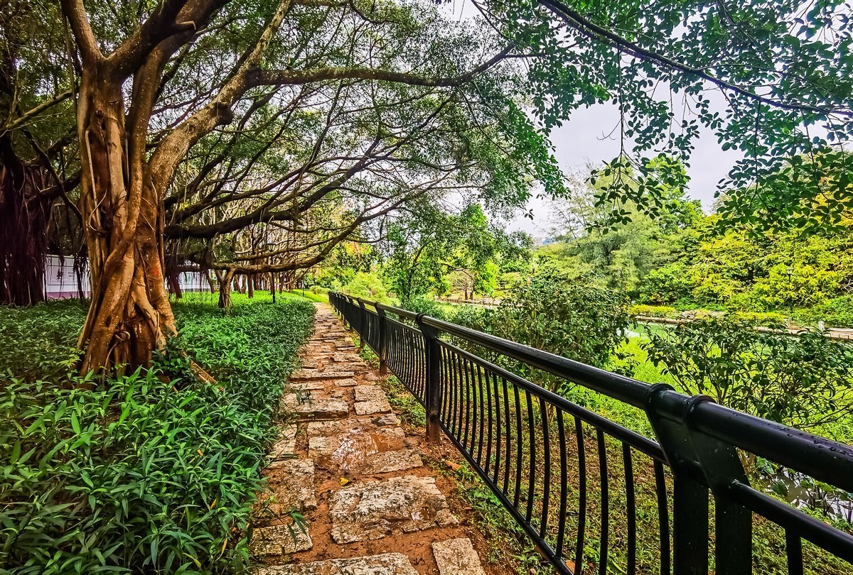 深圳笔架山公园掠影