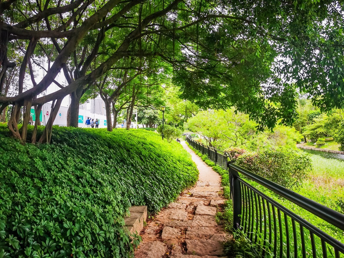 深圳笔架山公园掠影