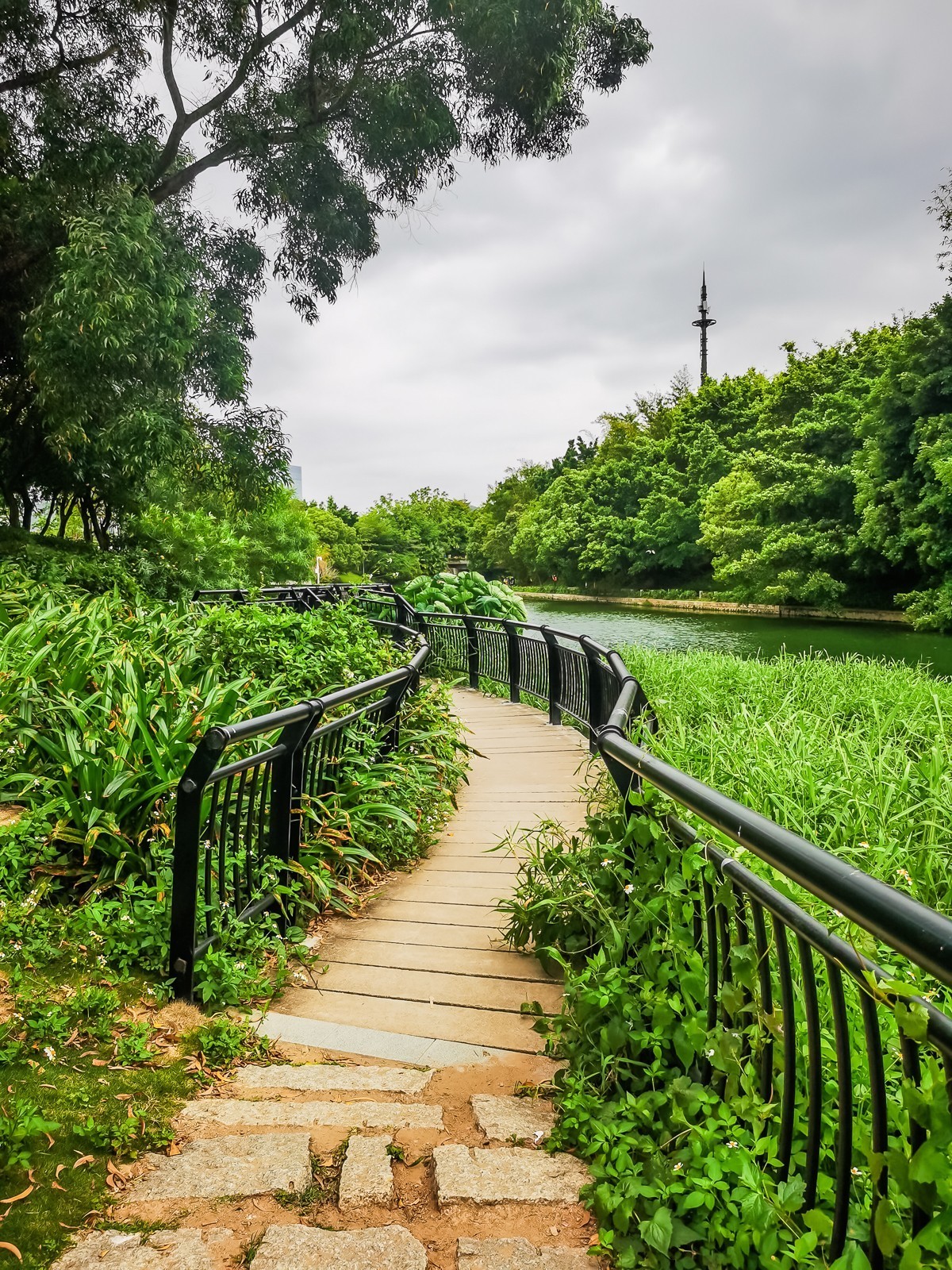 深圳笔架山公园掠影