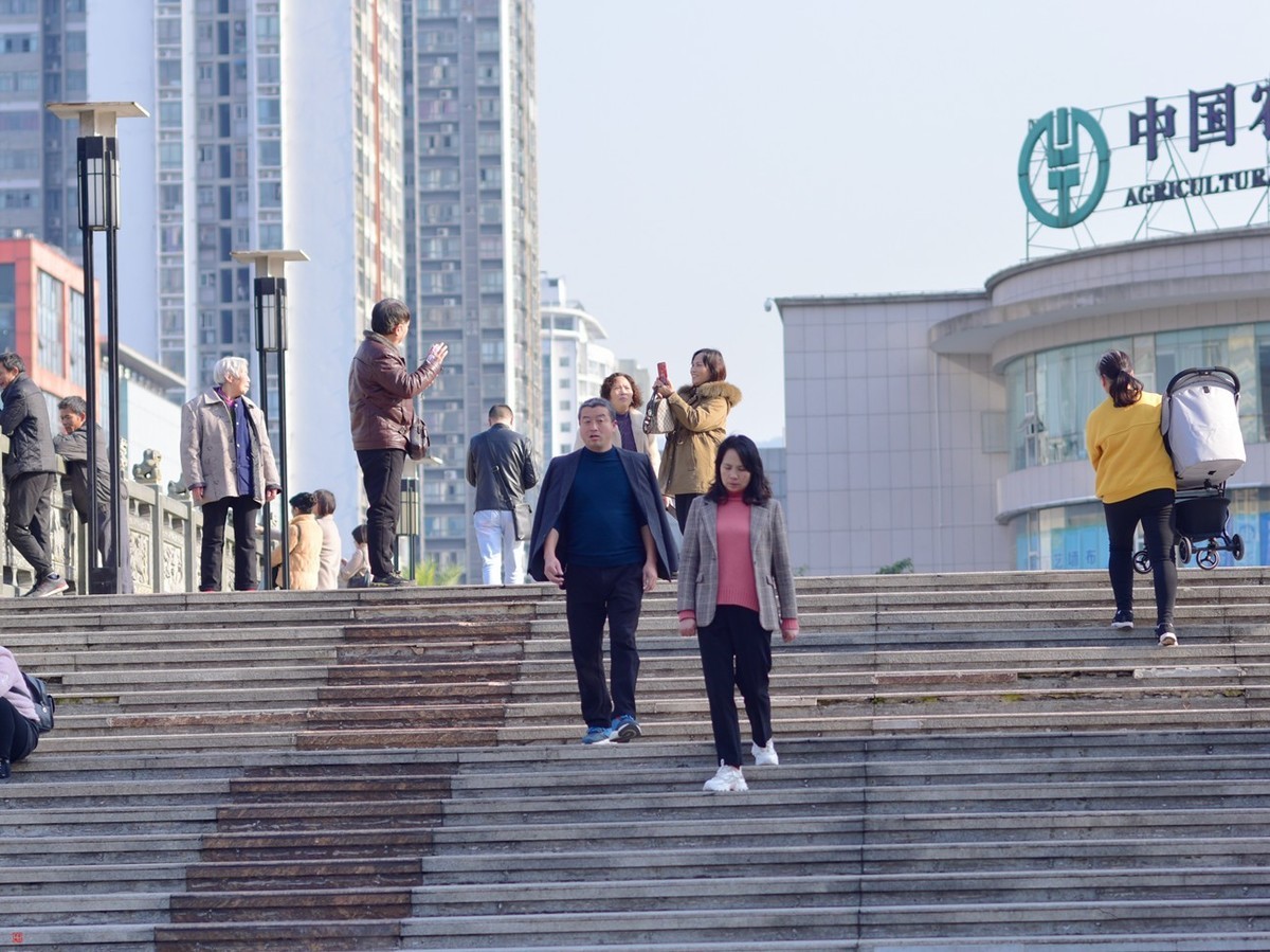 #拜年帖#冬曰暖阳(23)