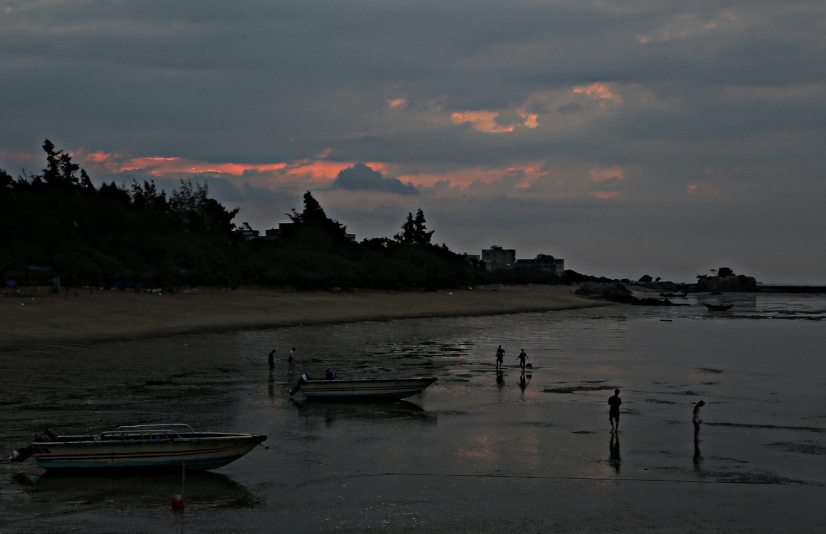 清晨滩涂寻宝贝（6幅）