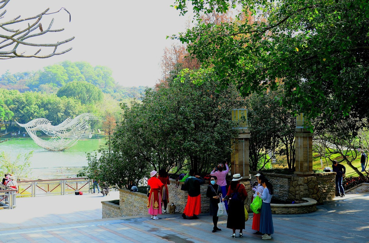 拜访无眠版主！