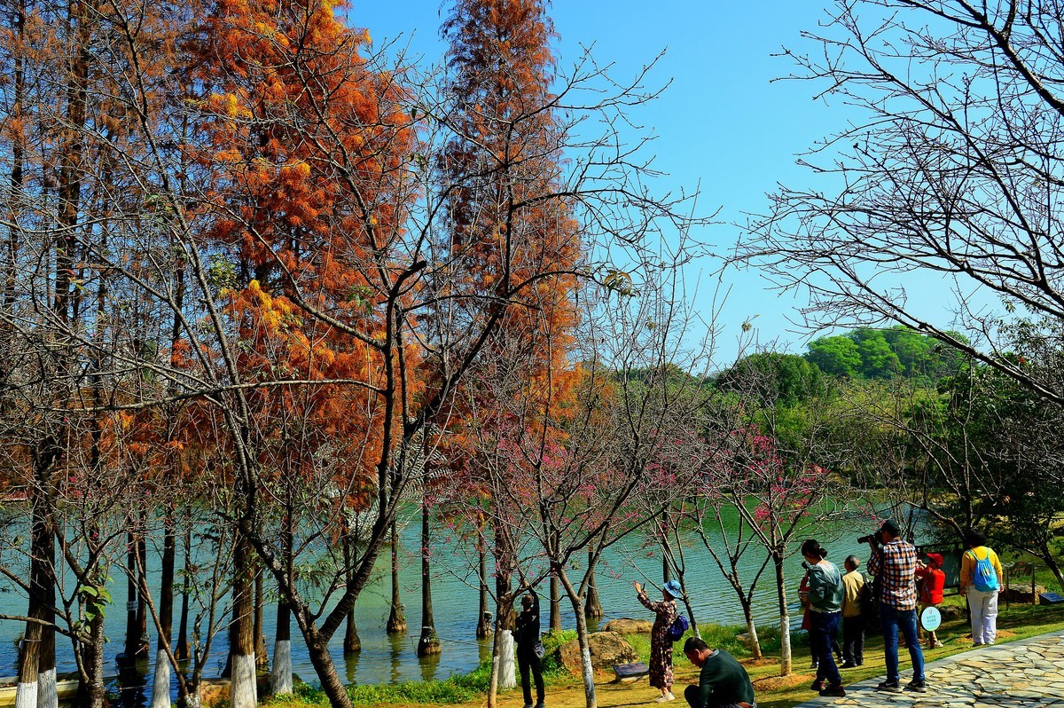 拜访无眠版主！