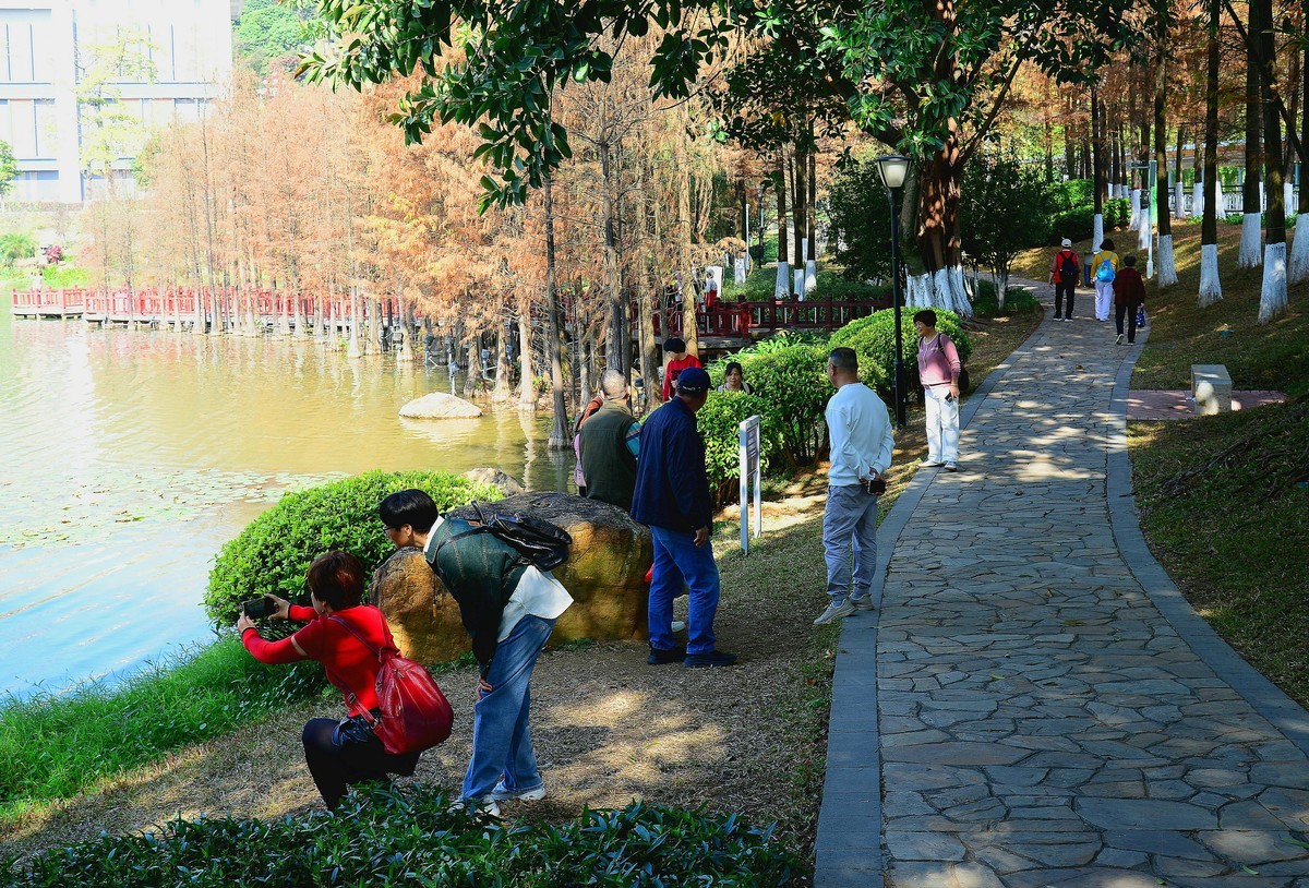 拜访无眠版主！