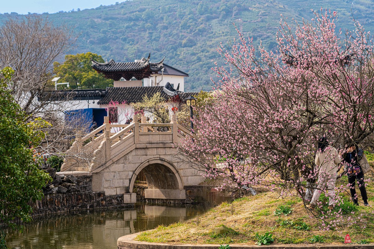 太湖林屋梅海