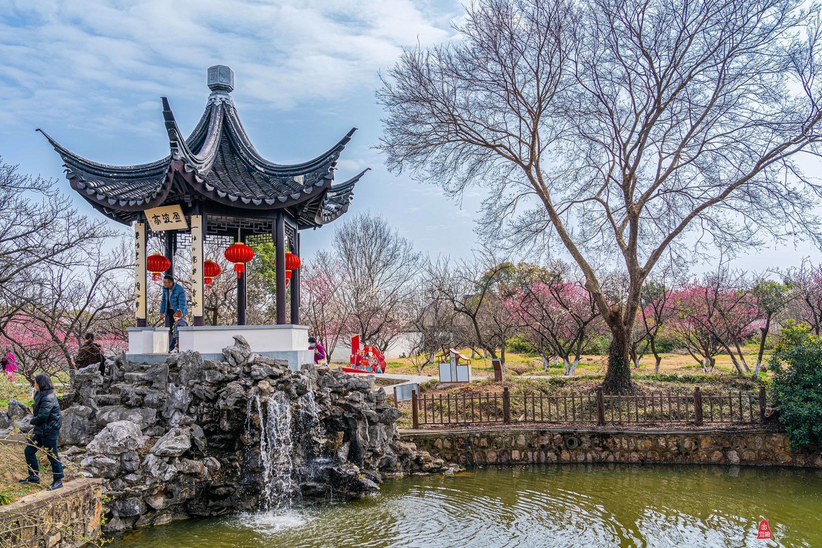 太湖林屋梅海